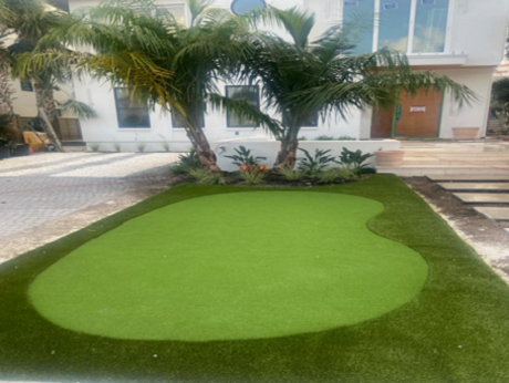 Golf  Enthusiasts Front yard Vision